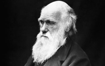 Теперь ты знаешь что 24 ноября 1859 года в продаже появился труд Чарльза Дарвина «Происхождение видов».