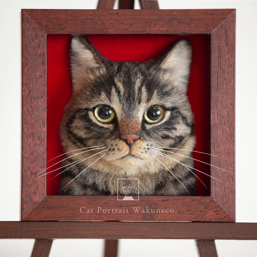 кошачьи портреты