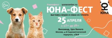 Центр «Юна» и Purina проведут на «Винзаводе» выставку-пристройство собак и кошек из приютов